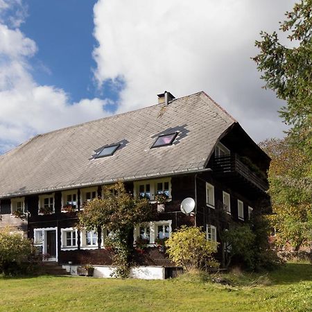 Вилла Waelder: Quartier Dachsberg Dachsberg im Schwarzwald Экстерьер фото