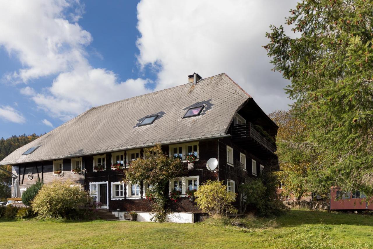 Вилла Waelder: Quartier Dachsberg Dachsberg im Schwarzwald Экстерьер фото